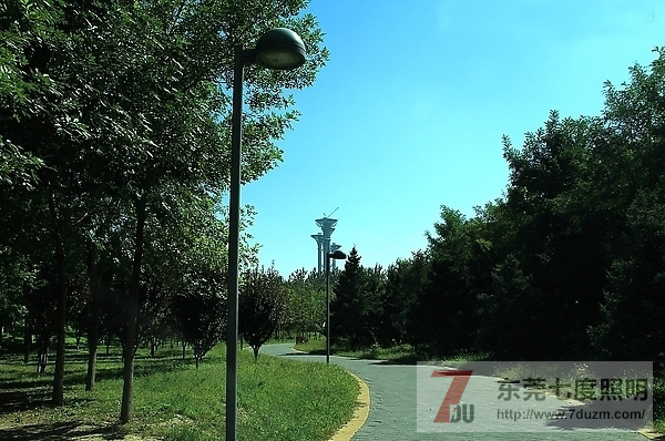 城市森林公園道路、步道照明設計原則