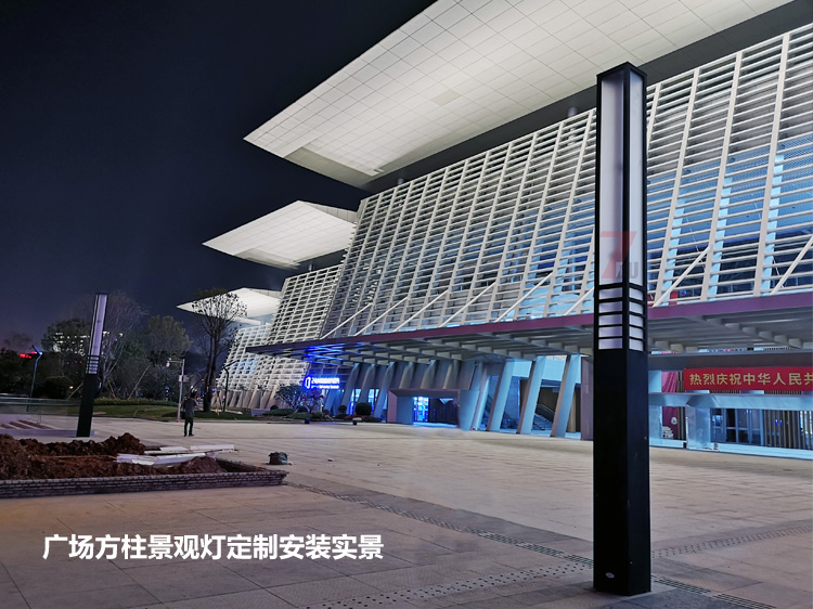 東莞市民服務中心廣場中軸定製好色先生网站入口安裝實拍效果